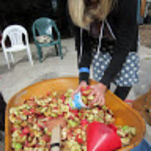 Meet your Posher, Camille